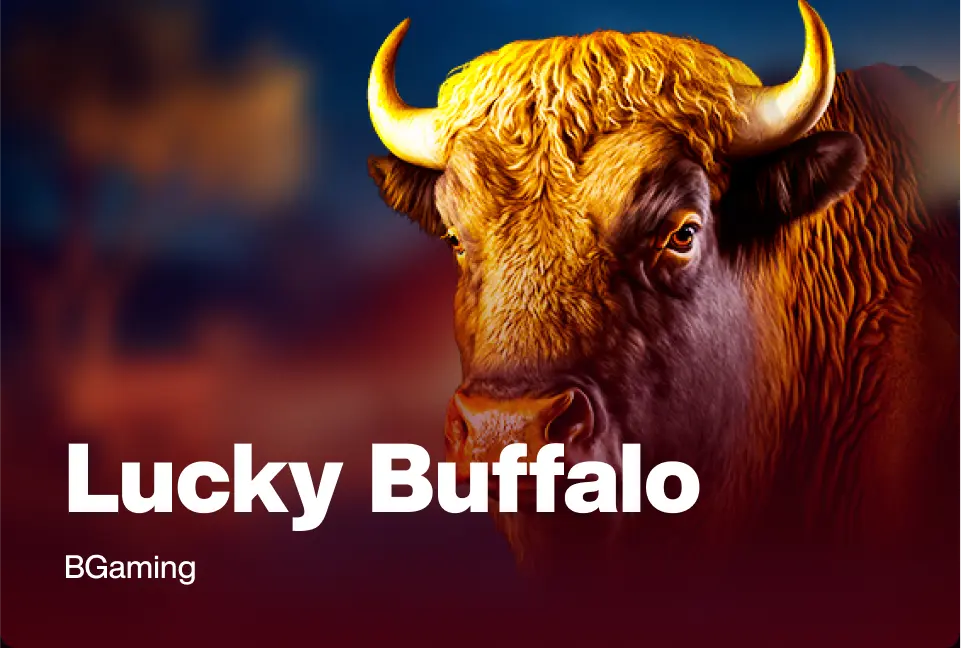 Lucky Buffalo